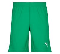 Puma Shorts TEAMRISE MATCHDAY in Green US XL
