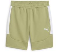 Puma Sport Shorts TeamEVOSTRIPE Shorts 659951