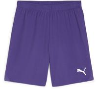 Puma Sport Shorts TeamGoal Shorts 705752