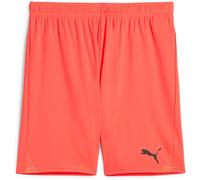 Puma Sport Shorts TeamGoal Shorts 705752