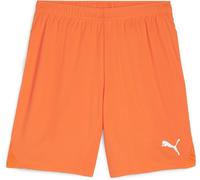Puma Sport Shorts TeamGoal Shorts 705752