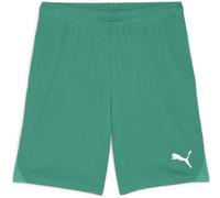 Puma Sport Shorts TeamGoal Shorts 705752