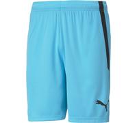 Puma Teamliga Shorts