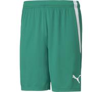 Puma Sport Shorts TeamLIGA Shorts 704924