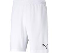 Puma Sport Shorts TeamRISE Short 704942