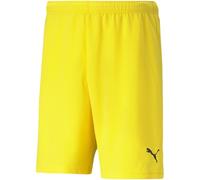 Puma Sport Shorts TeamRISE Short 704942