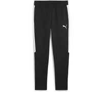 PUMA teamEVOSTRIPE Pants