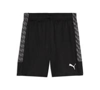 Puma Sports Shorts teamLIGA26 Training 659730