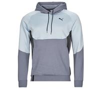 Puma Sweatshirt INLINE in Grey US XS