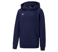 Puma Teamgoal 23 Casuals Hoodie Blue 9-10 Years Boys,Girls