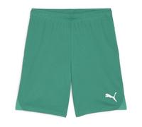 Puma Team Goal Shorts - Sport Green/Puma White