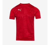 Puma teamCUP 25 Slim SS Training Shirt