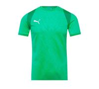 Puma teamCUP 25 SS Shirt