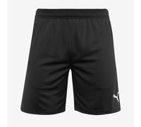 Puma teamCUP 25 Training Shorts