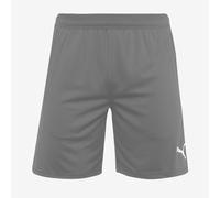 Puma teamCUP 25 Training Shorts