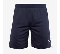 Puma teamCUP 25 Training Shorts