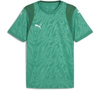 Puma TeamCUP Jersey 706272