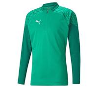 PUMA teamCUP Training 1/4 Zip Top Pepper Green