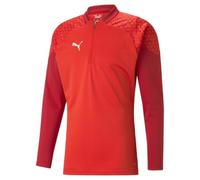 PUMA teamCUP Training 14 Zip Top