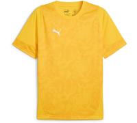 Puma TeamCUP Training Jersey 659167