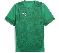Puma TeamCUP Training Jersey 659167