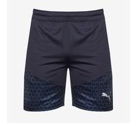 Puma teamCUP Training Shorts