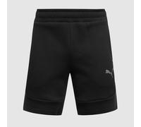 Puma teamEVOSTRIPE 25 Shorts