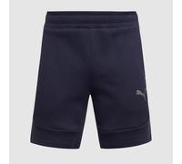 Puma teamEVOSTRIPE 25 Shorts