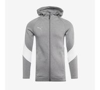 Puma teamEVOSTRIPE 25 Slim Hooded Jacket
