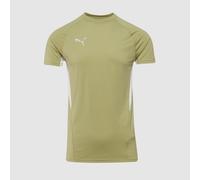 Puma teamEVOSTRIPE 25 Slim SS Tee