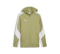 PUMA teamEVOSTRIPE Hooded Jacket