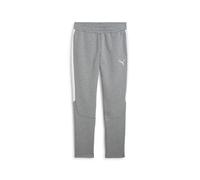 PUMA teamEVOSTRIPE Pants