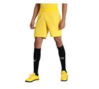 PUMA teamFINAL 21 Knit Shorts