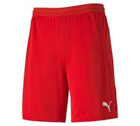 PUMA teamFINAL 21 Knit Shorts
