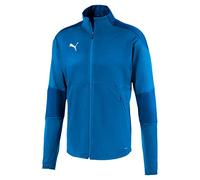 PUMA teamFINAL 21 Training Jacket
