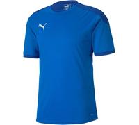PUMA teamFINAL 21 Training Jersey