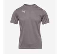 Puma Mens Teamfinal Training Jersey T-shirt Short Sleeve