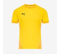 Puma teamFINAL 24 SS Shirt