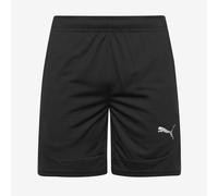 Puma teamFINAL 24 Training Shorts