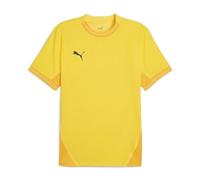 PUMA teamFINAL Jersey