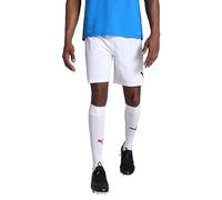 PUMA Teamfinal Shorts - Men's Shorts