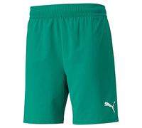 PUMA Teamfinal Shorts - Men's Shorts