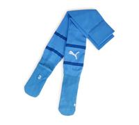 PUMA teamFINAL Socks