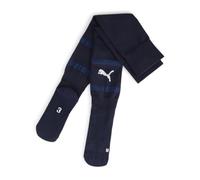 PUMA teamFINAL Socks