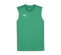 PUMA teamFINAL Training Jersey SL