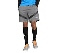 PUMA Teamfinal Training Shorts - Men's Shorts