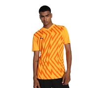 PUMA teamGLORY Jersey