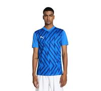 PUMA teamGLORY Jersey