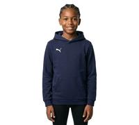 Puma Teamgoal 23 Casuals Hoodie