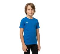 Puma Boys' teamGOAL 23 Casuals Tee Jr T-Shirt, Electric Blue Lemonade, 140
